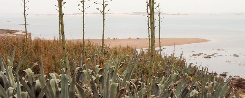 Naturaleza y mar 8