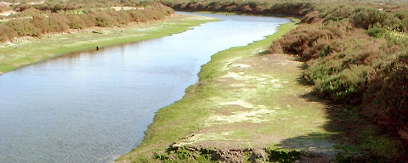 Naturaleza y mar 9