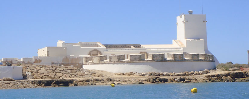 Bajo el mar4
