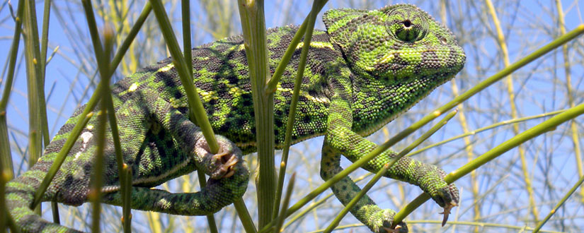 Naturaleza en Pareja12