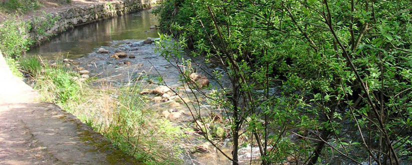 Naturaleza en Pareja2